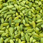 Elaichi plants