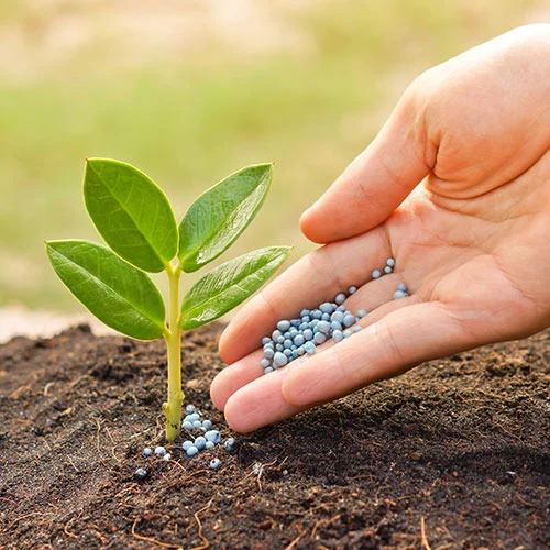 Fertilizer